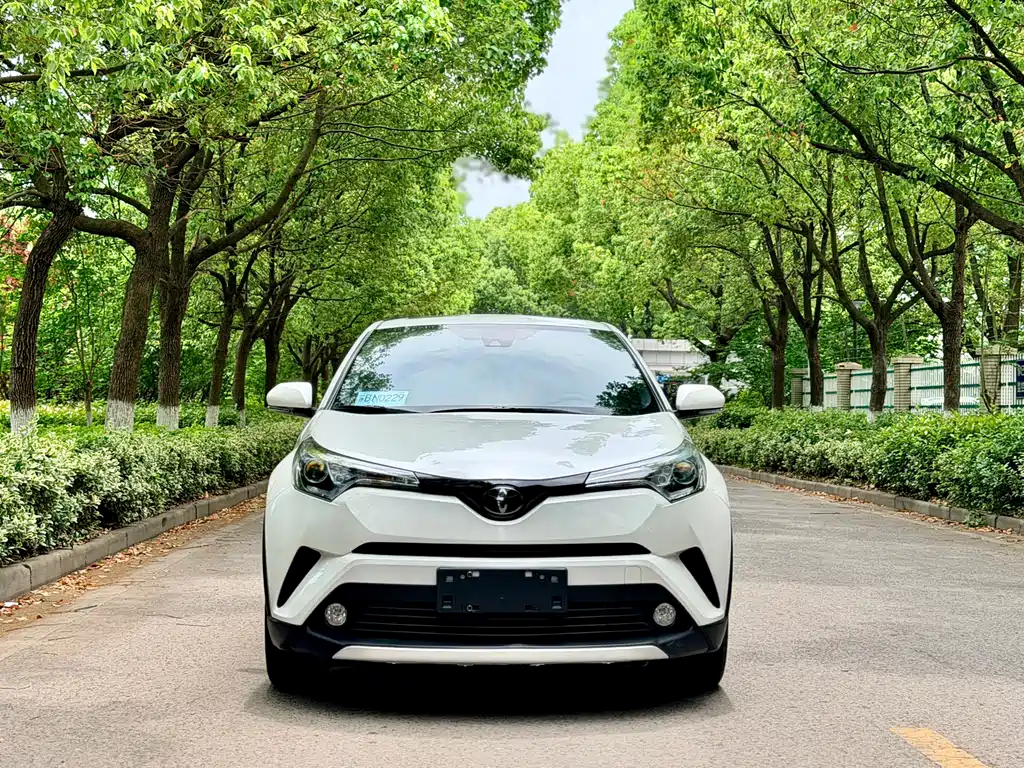Toyota IZOA 2019 — фото 2