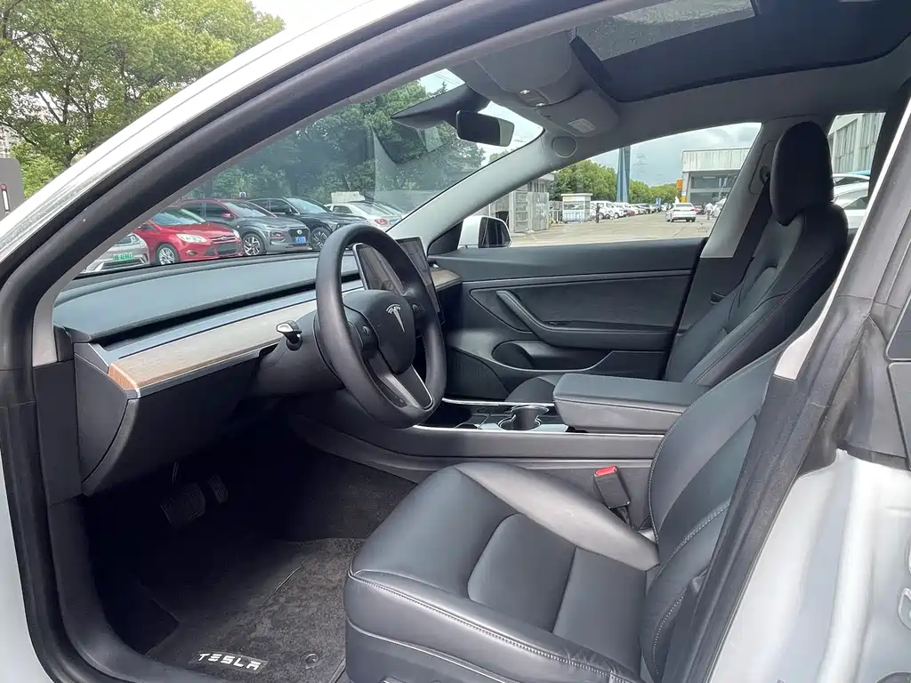 Tesla Model 3 2019