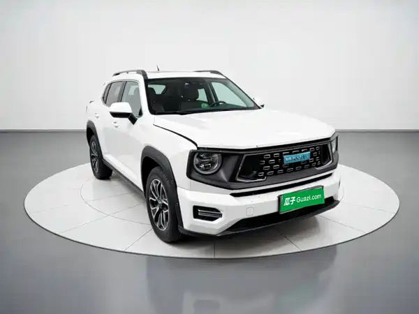 Haval Big Dog PLUS New Energy 2024