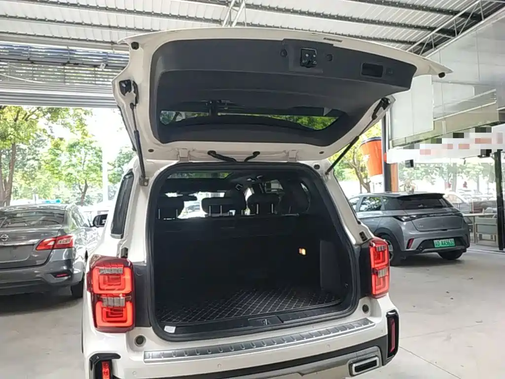 GAC Trumpchi GS8 2020 — фото 19