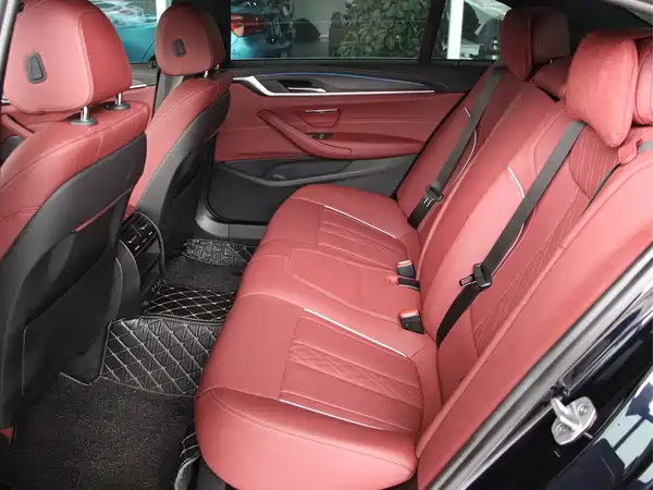 BMW 5 Series New Energy 2022