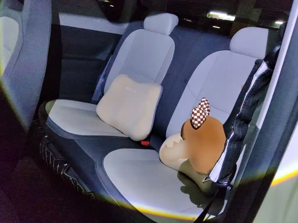 Geely Galaxy Panda 2024 — фото 18