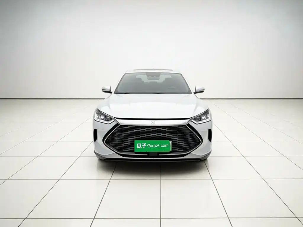 BYD Song PLUS New Energy 2023 — фото 2