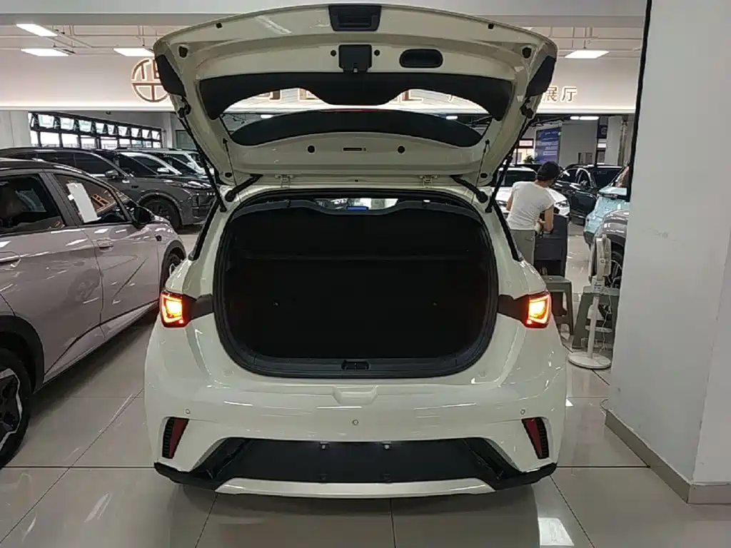 BYD Dolphin 2023 — фото 19