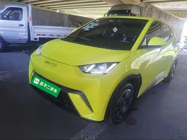 BYD Seagull 2024