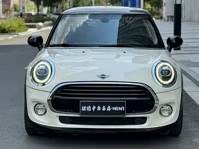 MINI MINI 2019
