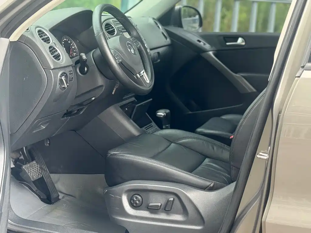 Volkswagen Tiguan 2010