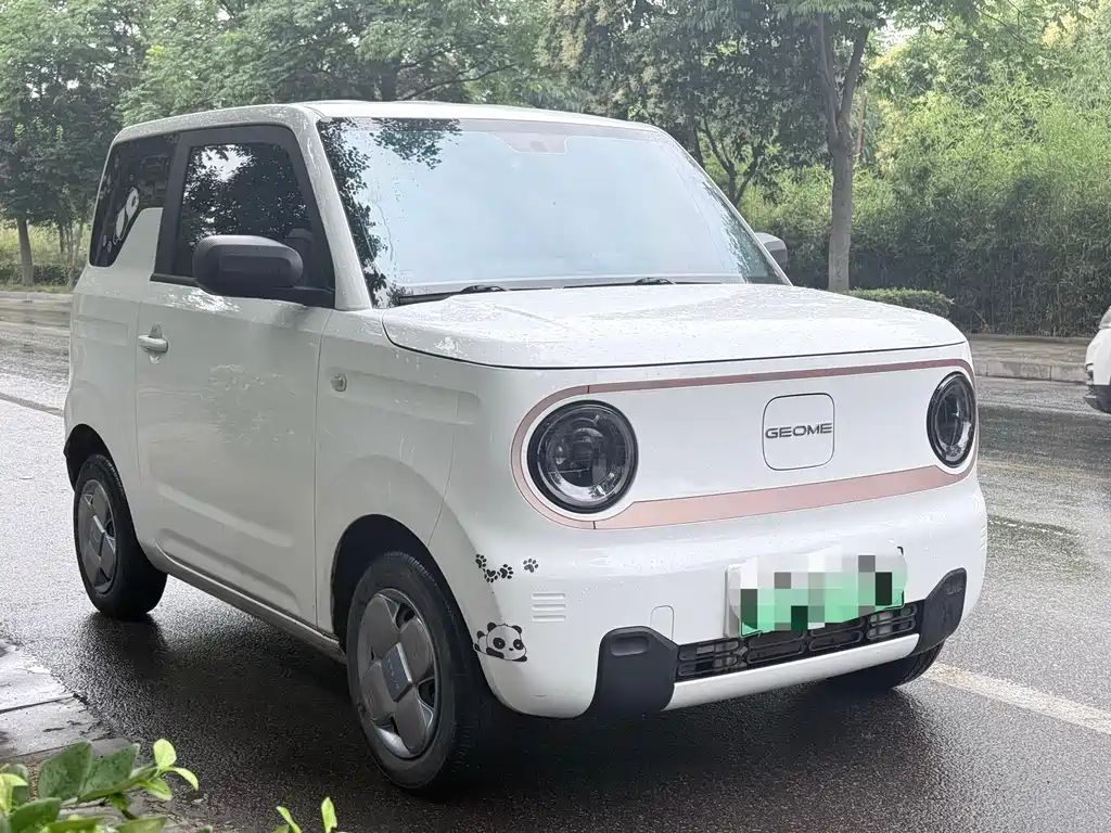 Galaxy Panda 2024