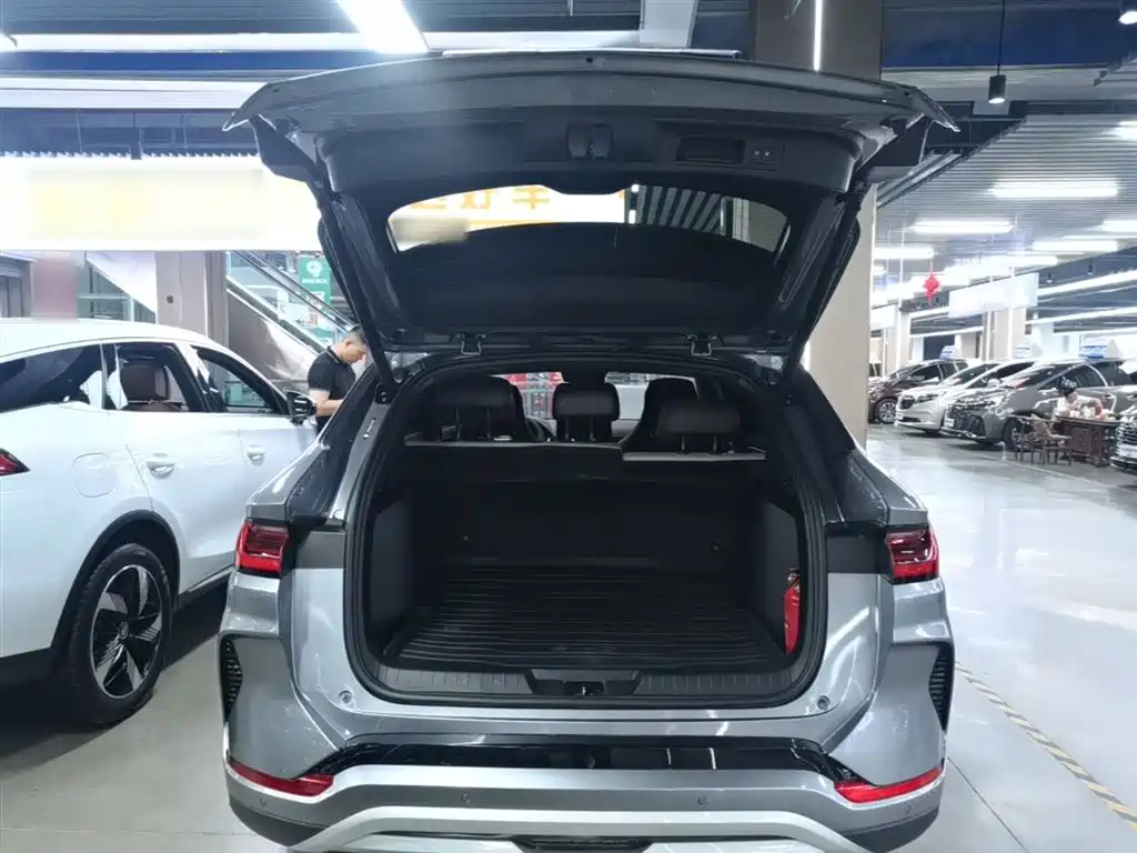 BYD Song PLUS New Energy 2025 — фото 19