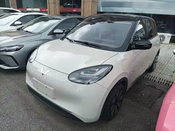 Wuling Bingo 2024