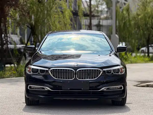 BMW 5 Series 2019