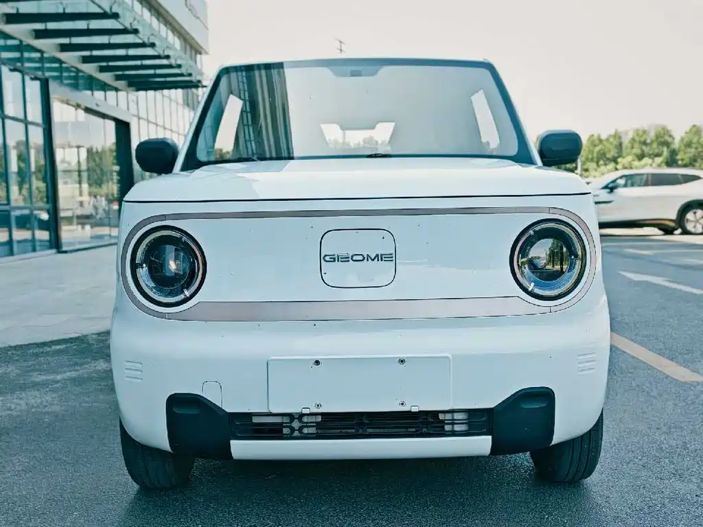 Galaxy Panda 2023
