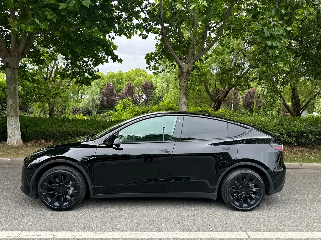 Tesla Model Y 2023 — фото 4