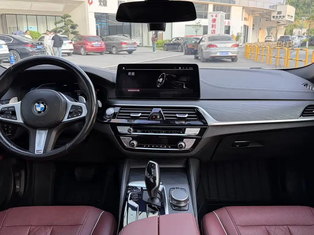 BMW 5 Series 2020 — фото 15