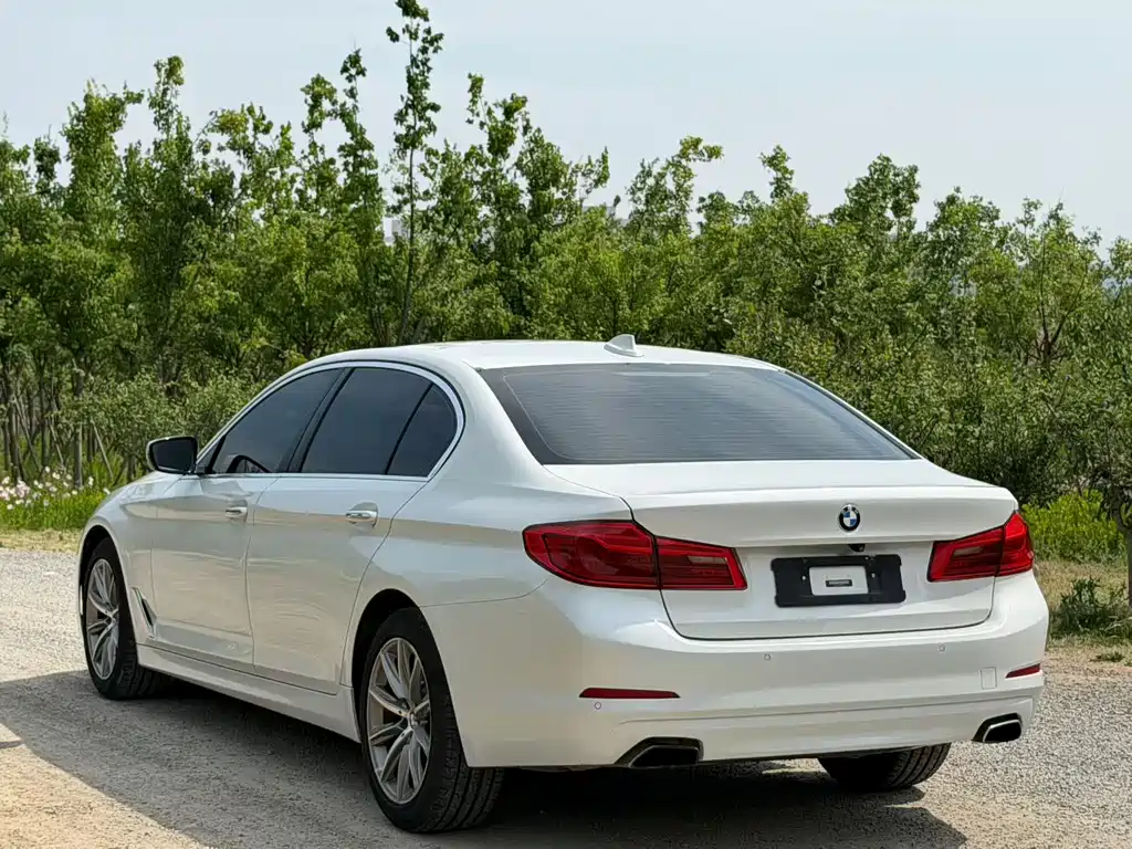 BMW 5 Series 2017 — фото 4