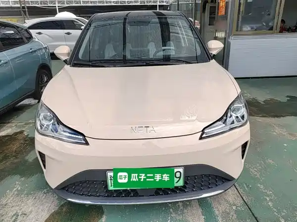 Neta AYA 2024