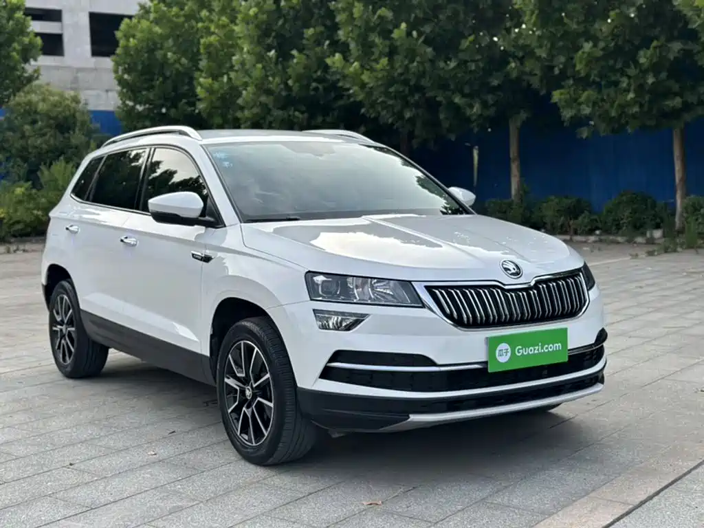 Skoda Karoq 2020 — фото 7