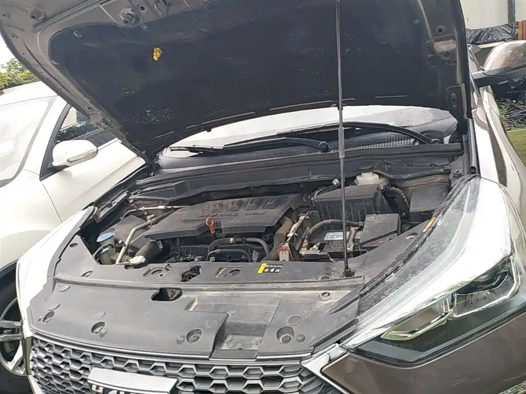 Haval H6 Coupe 2019 — фото 20