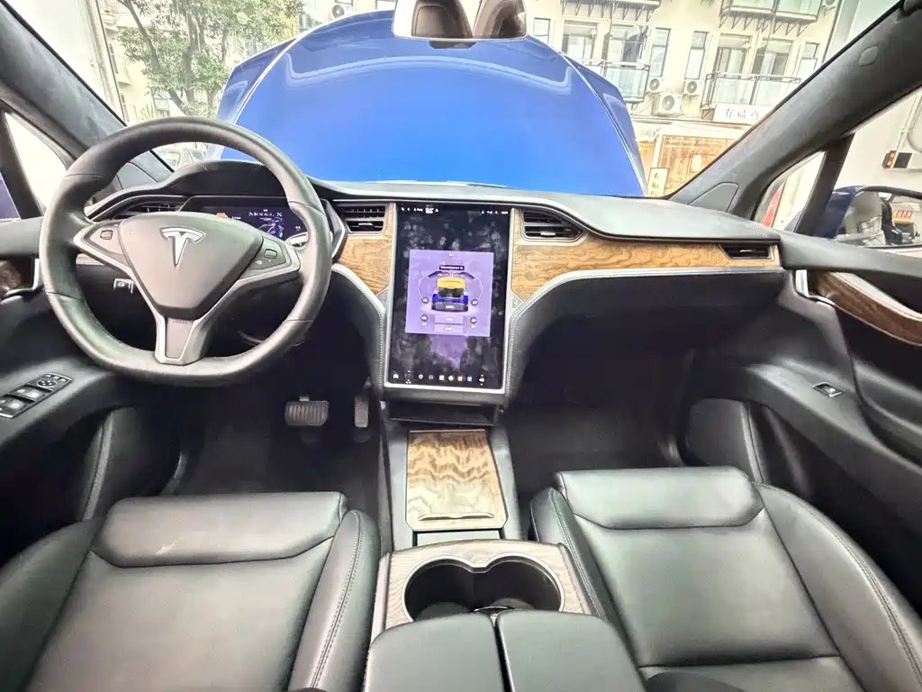 Tesla Model X 2020 — фото 9