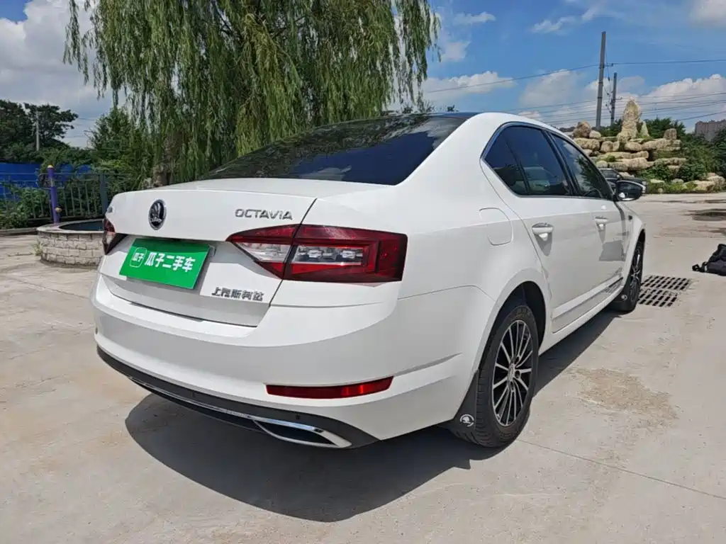 Skoda Octavia 2019 — фото 7