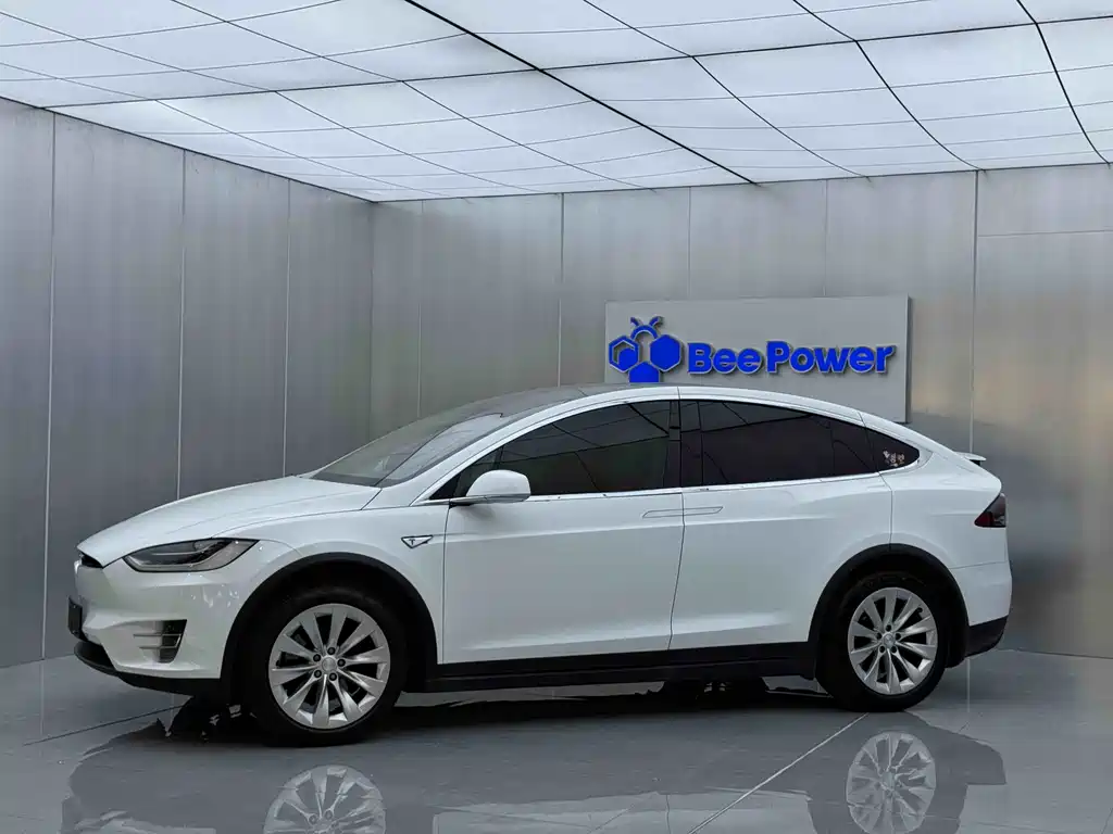 Tesla Model X 2016 — фото 4