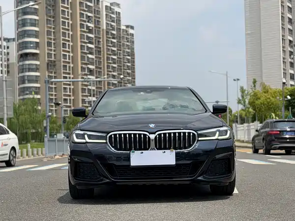 BMW 5 Series 2021
