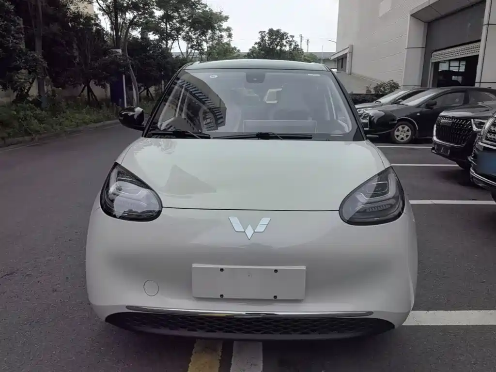 Wuling Bingo 2024