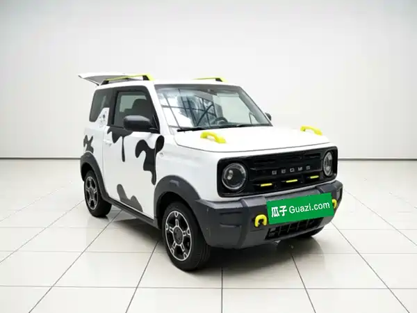 Geely Galaxy Panda 2024
