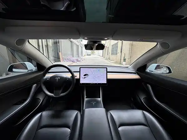 Tesla Model 3 2019