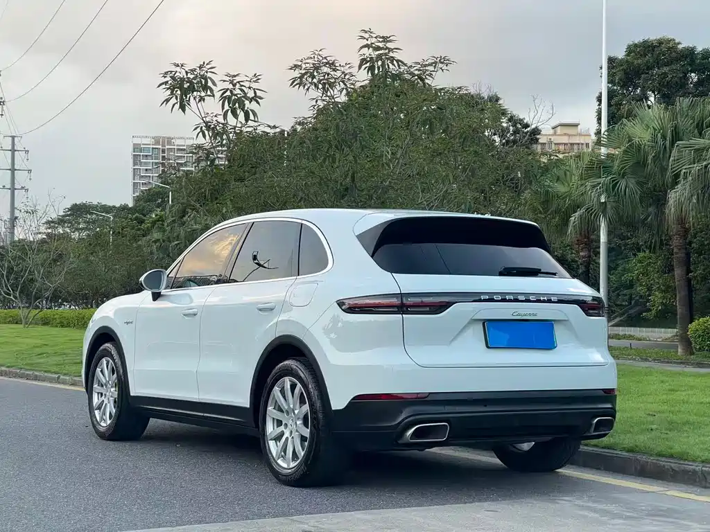 Porsche Cayenne New Energy 2020 — фото 15