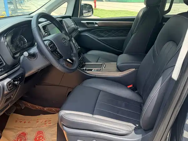 GAC Trumpchi M8 2020