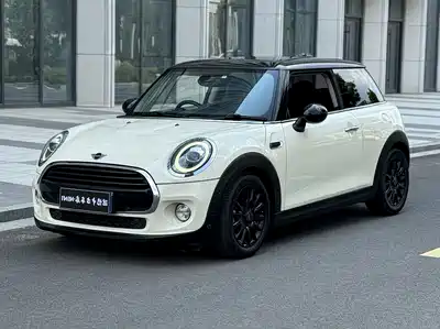 MINI MINI 2019