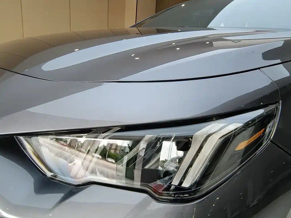 GAC Motor Shadow Leopard 2022 — фото 24