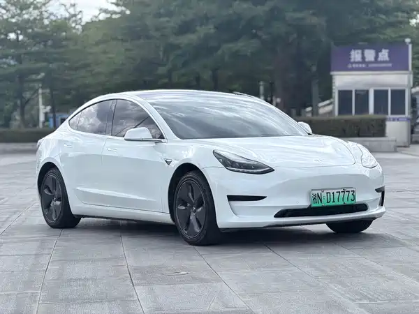 Tesla Model 3 2020