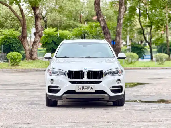 BMW X6 2015