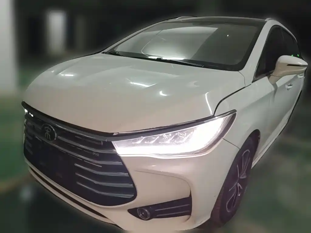 BYD MAX 2019