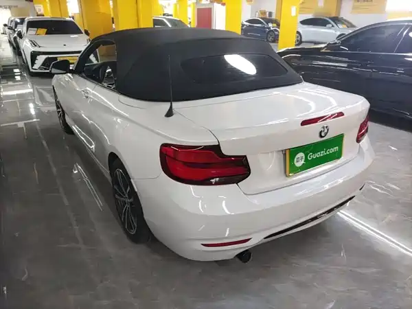 BMW 2 Series 2019