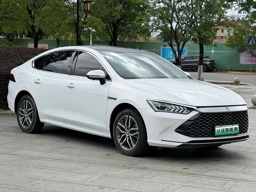 BYD Qin PLUS 2023 — фото 3