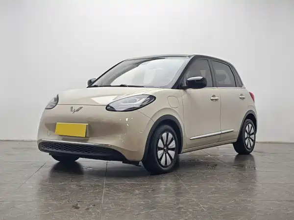 Wuling Bingo 2024