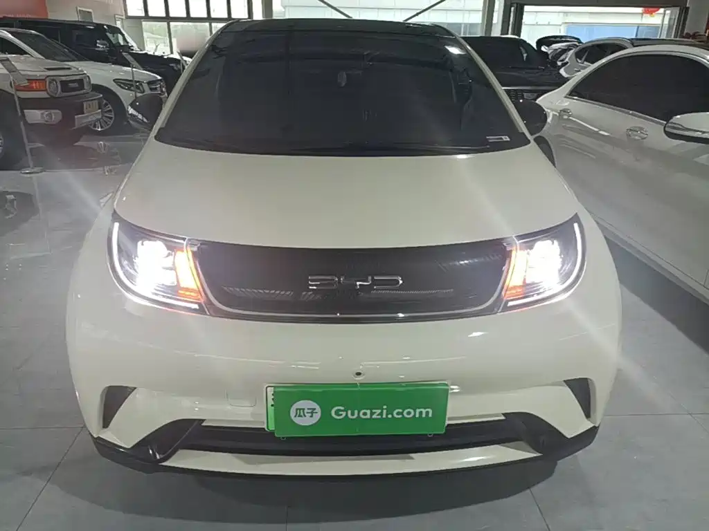BYD Dolphin 2022