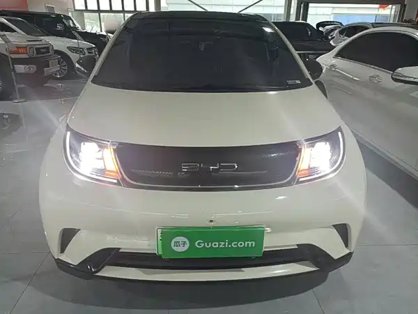 BYD Dolphin 2022