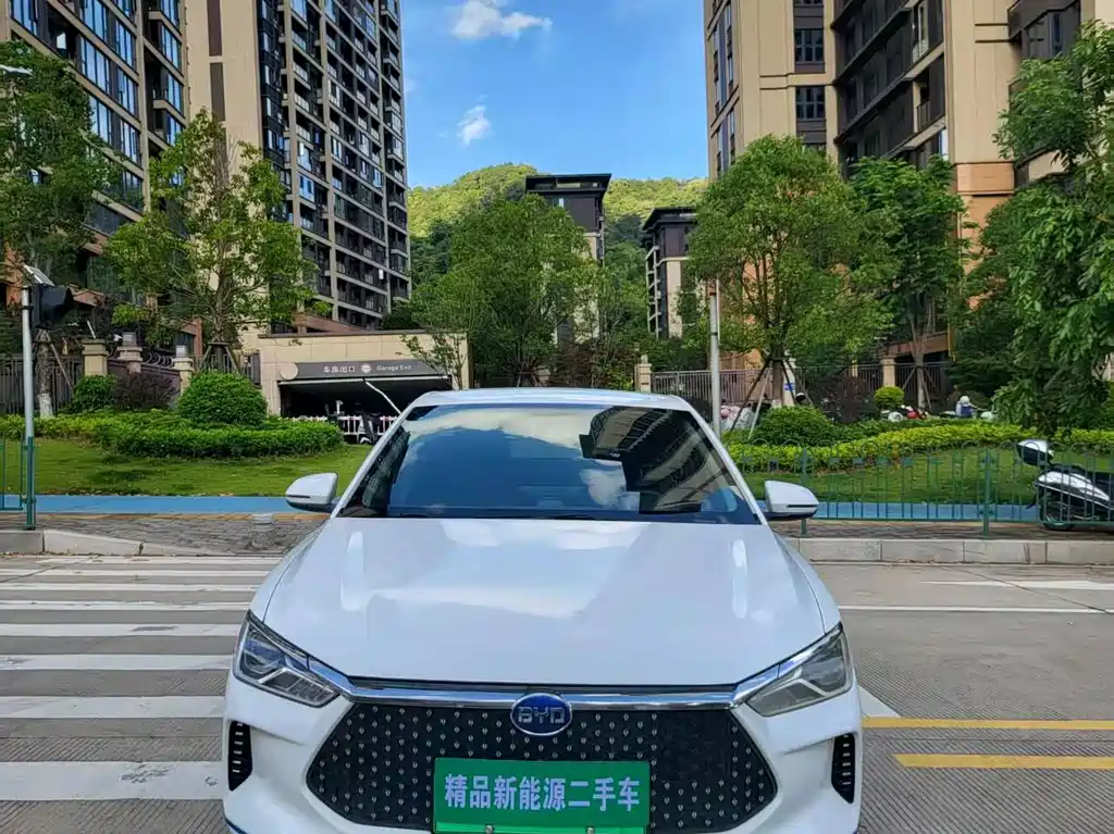 BYD e2 2022