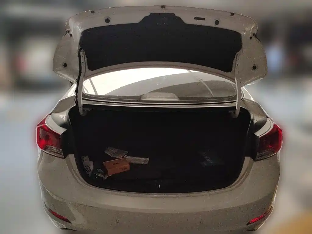 Hyundai Elantra Langdong 2015 — фото 15