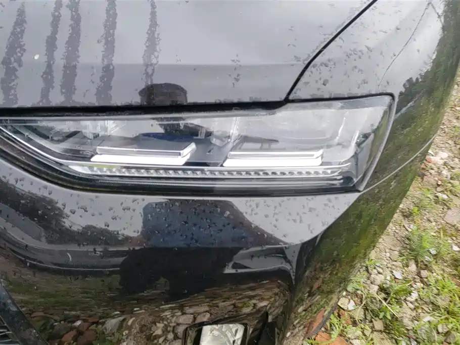 Wey P8 2019