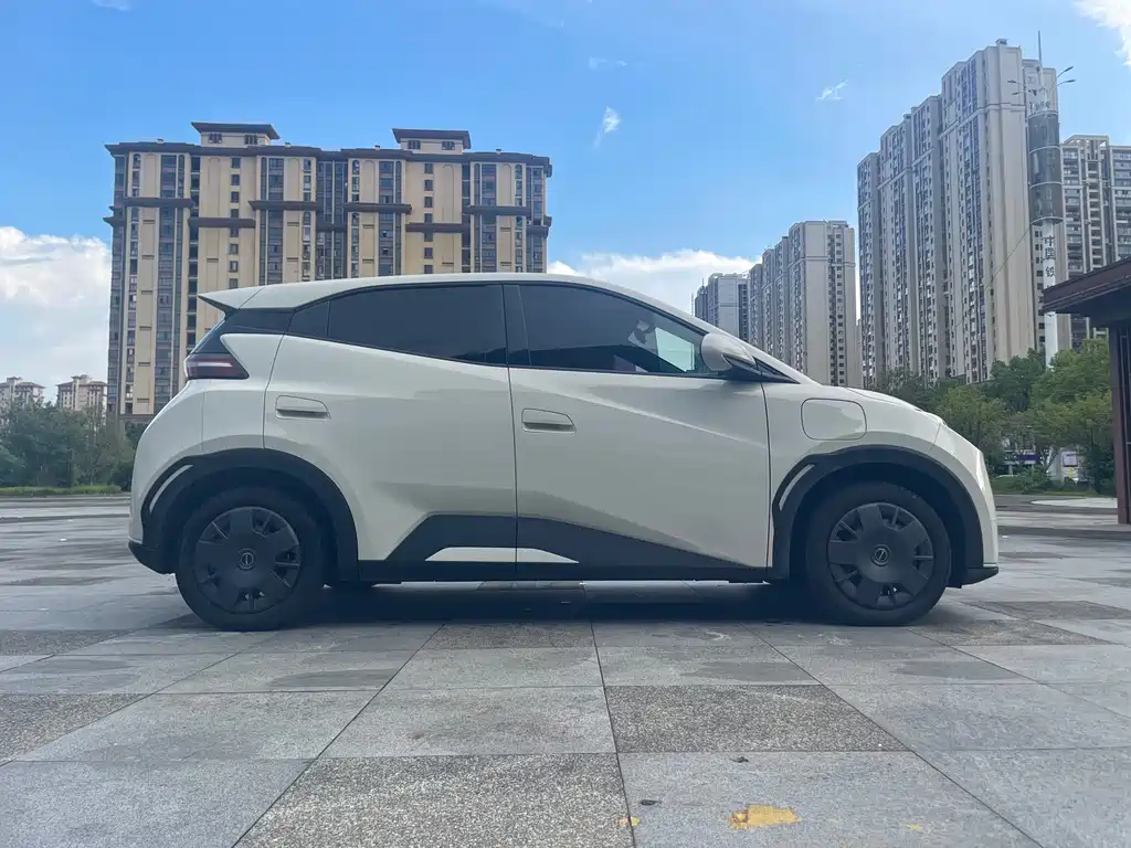 BYD Seagull 2024