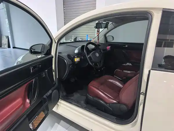 Volkswagen Beetle 2009