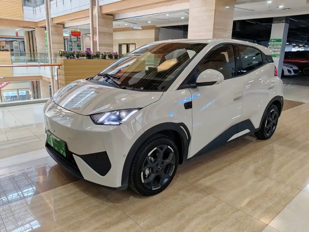 BYD Seagull 2025