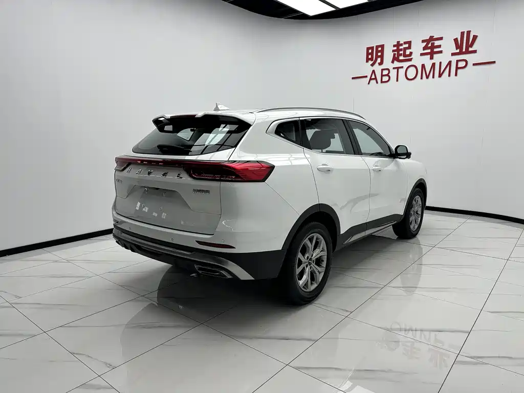 Haval H6 2021 — фото 9