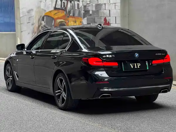 BMW 5 Series New Energy 2022
