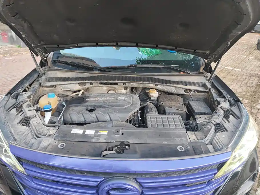 GAC Trumpchi GS5 2021 — фото 10